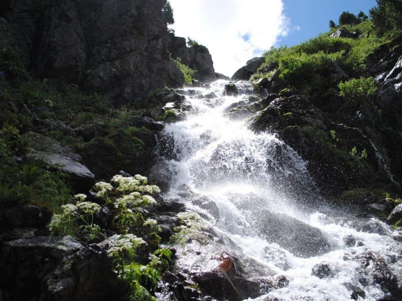 Уймонская Жемчужина - фото 51