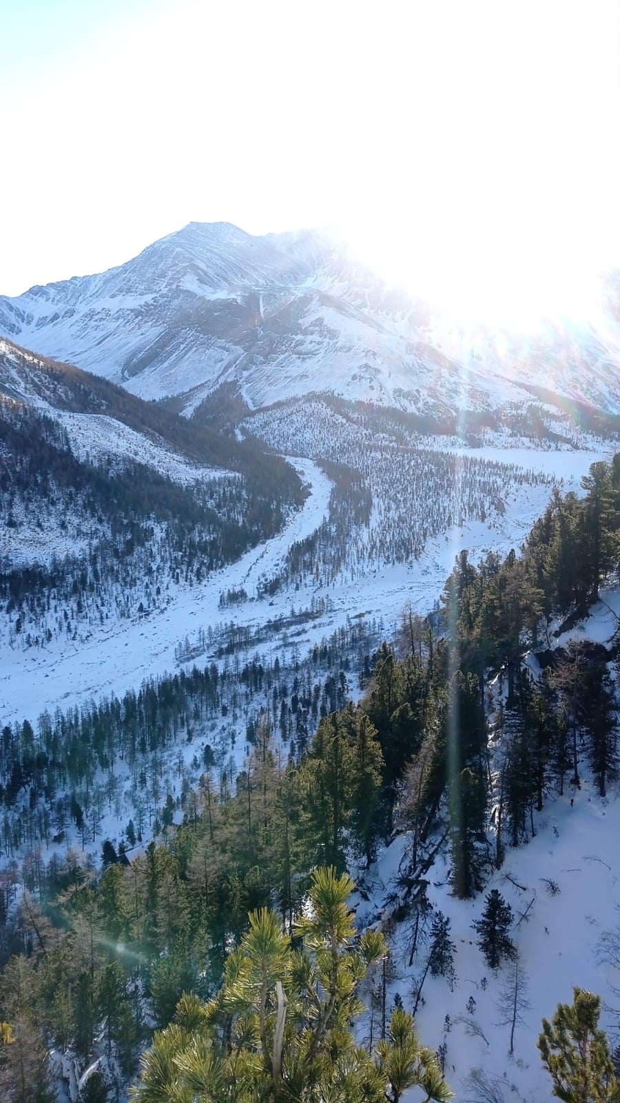 Уймонская Жемчужина - фото 63