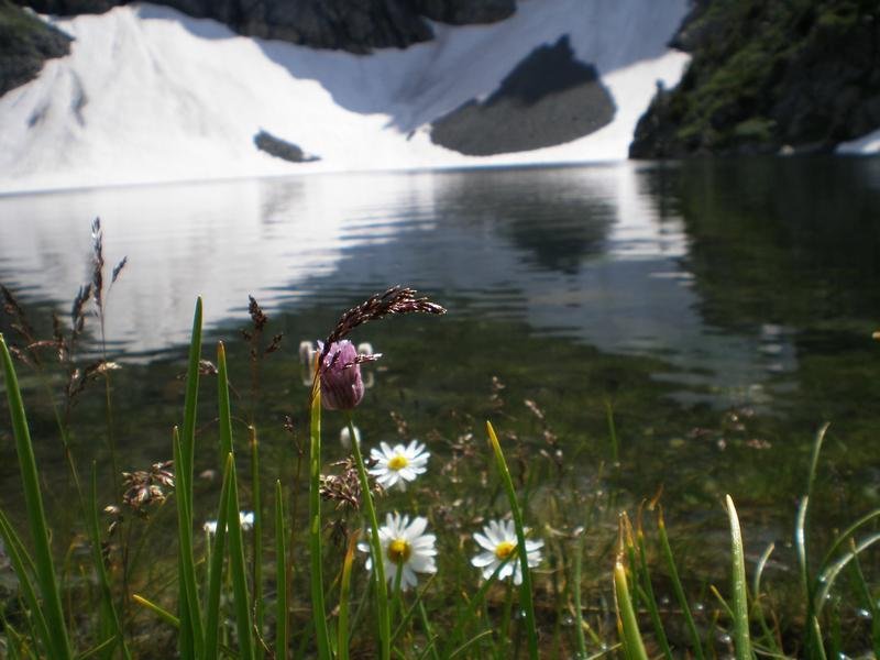 Уймонская Жемчужина - фото 67