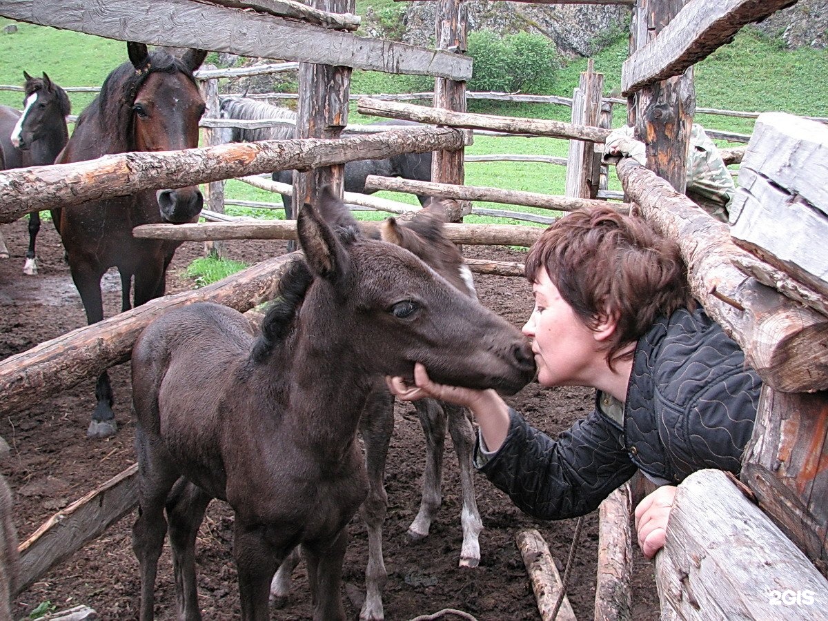 Иткая - фото 37