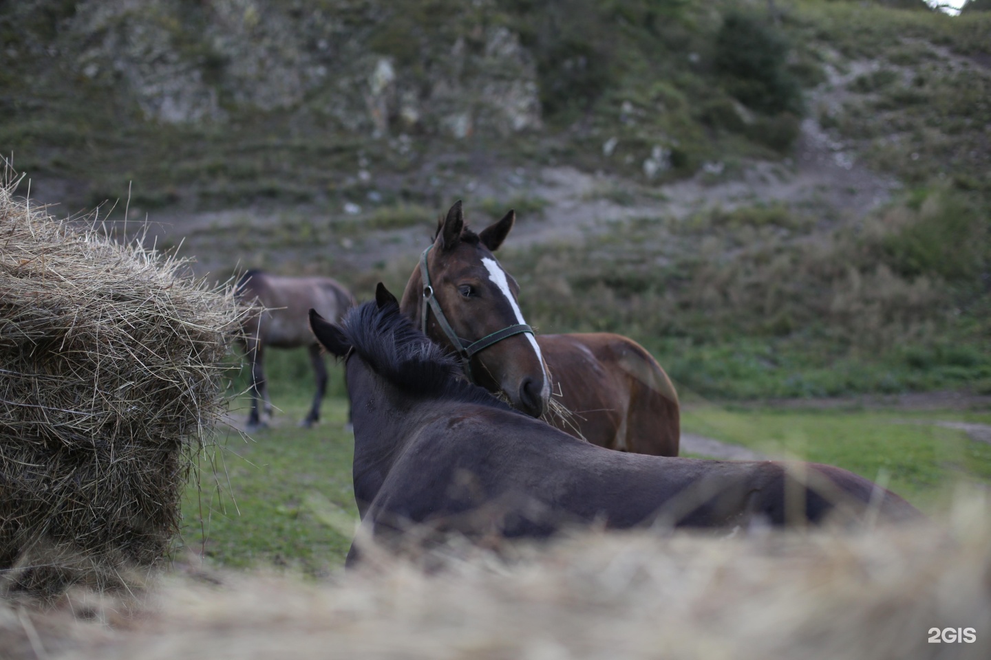 Иткая - фото 44