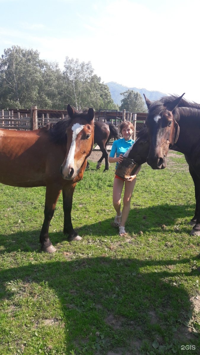 Иткая - фото 48