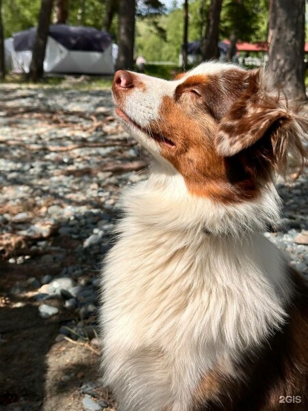 Палатка с 1 двуспальной и 1 двухъярусной кроватью на 1 береговой линии - фото 3