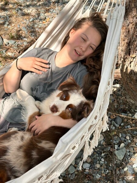 Палатка с 1 двухспальной кроватью на 1 береговой линии - фото 4