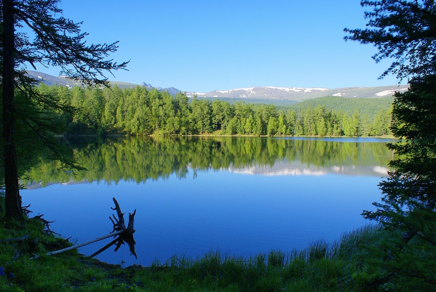 Катунские Террасы - фото 23