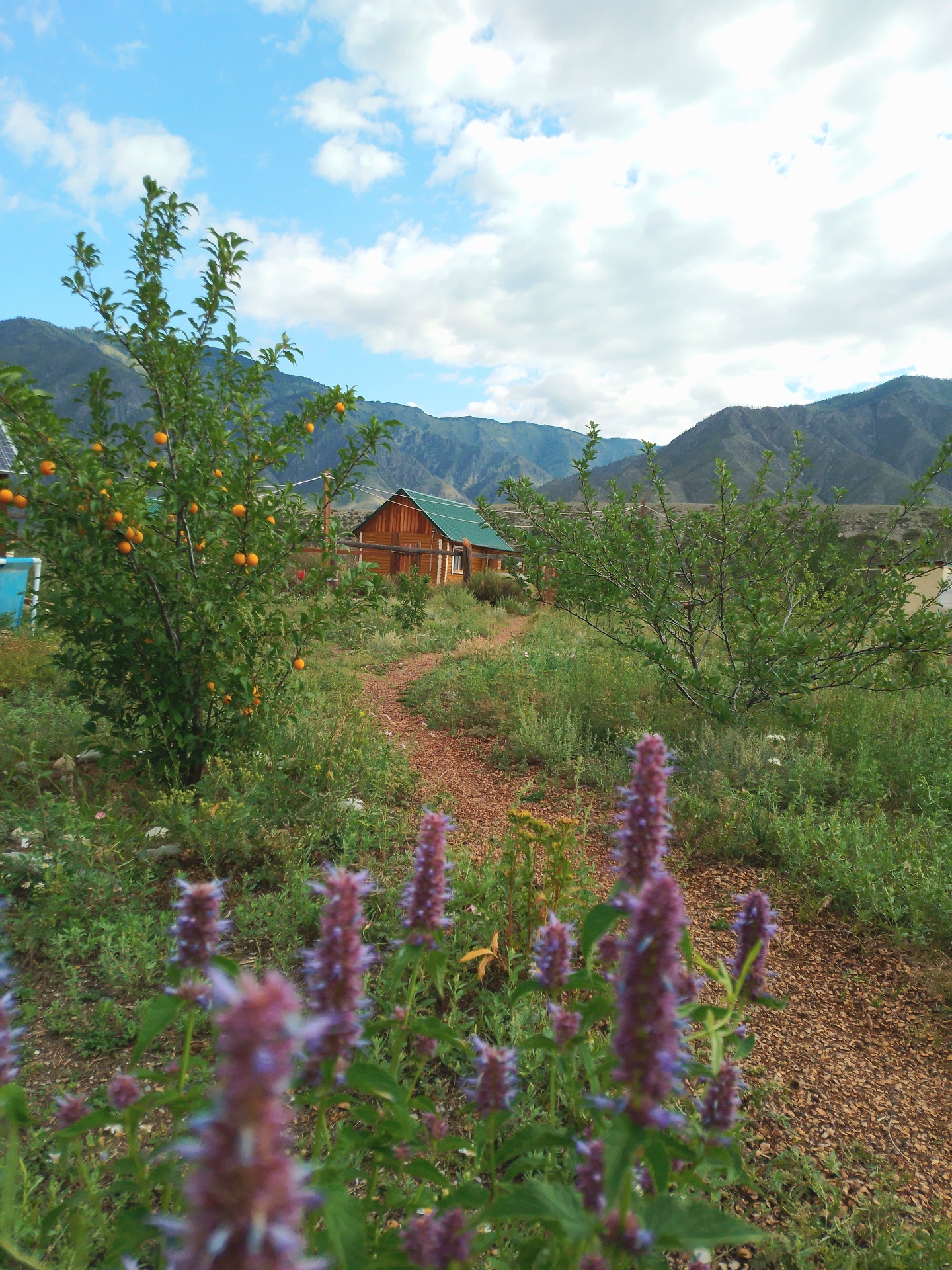 Катунские Террасы - фото 28