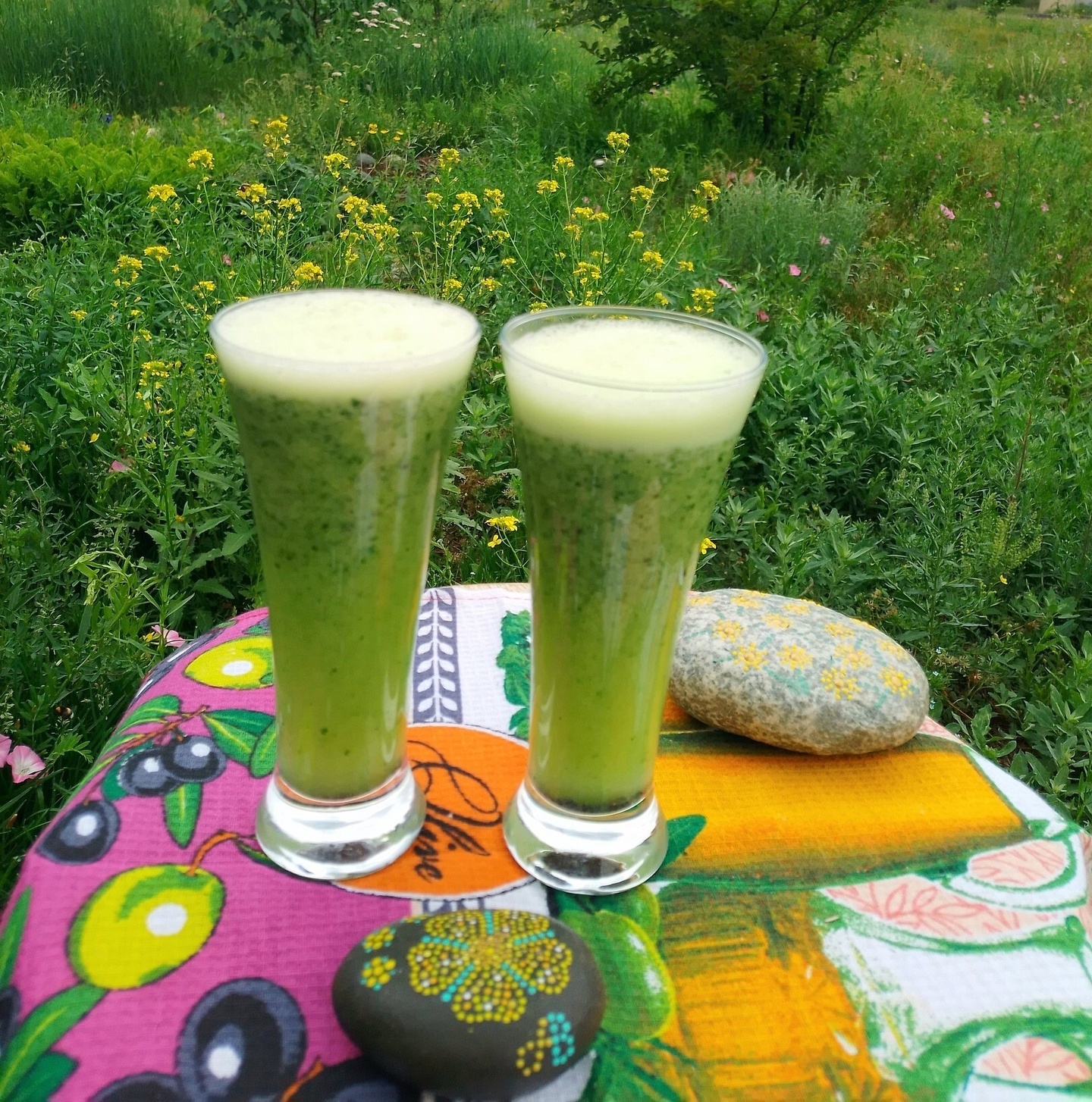 Катунские Террасы - фото 52