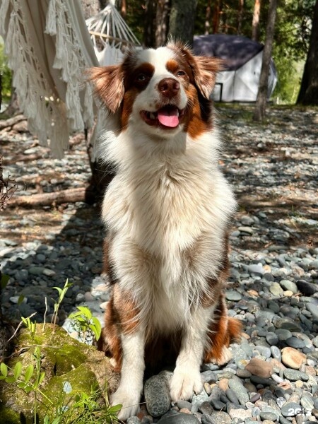 Палатка с 1 двухспальной кроватью на 2 береговой линии - фото 3