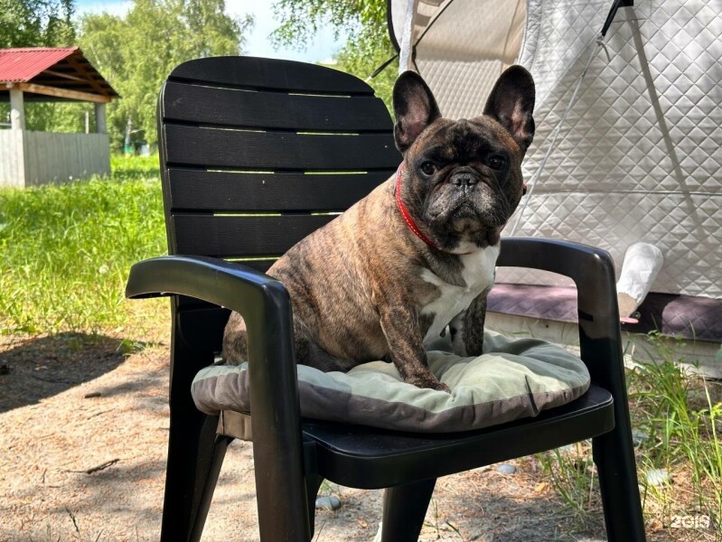 Палатка с 2 двухъярусными кроватями на 2 береговой линии - фото 4