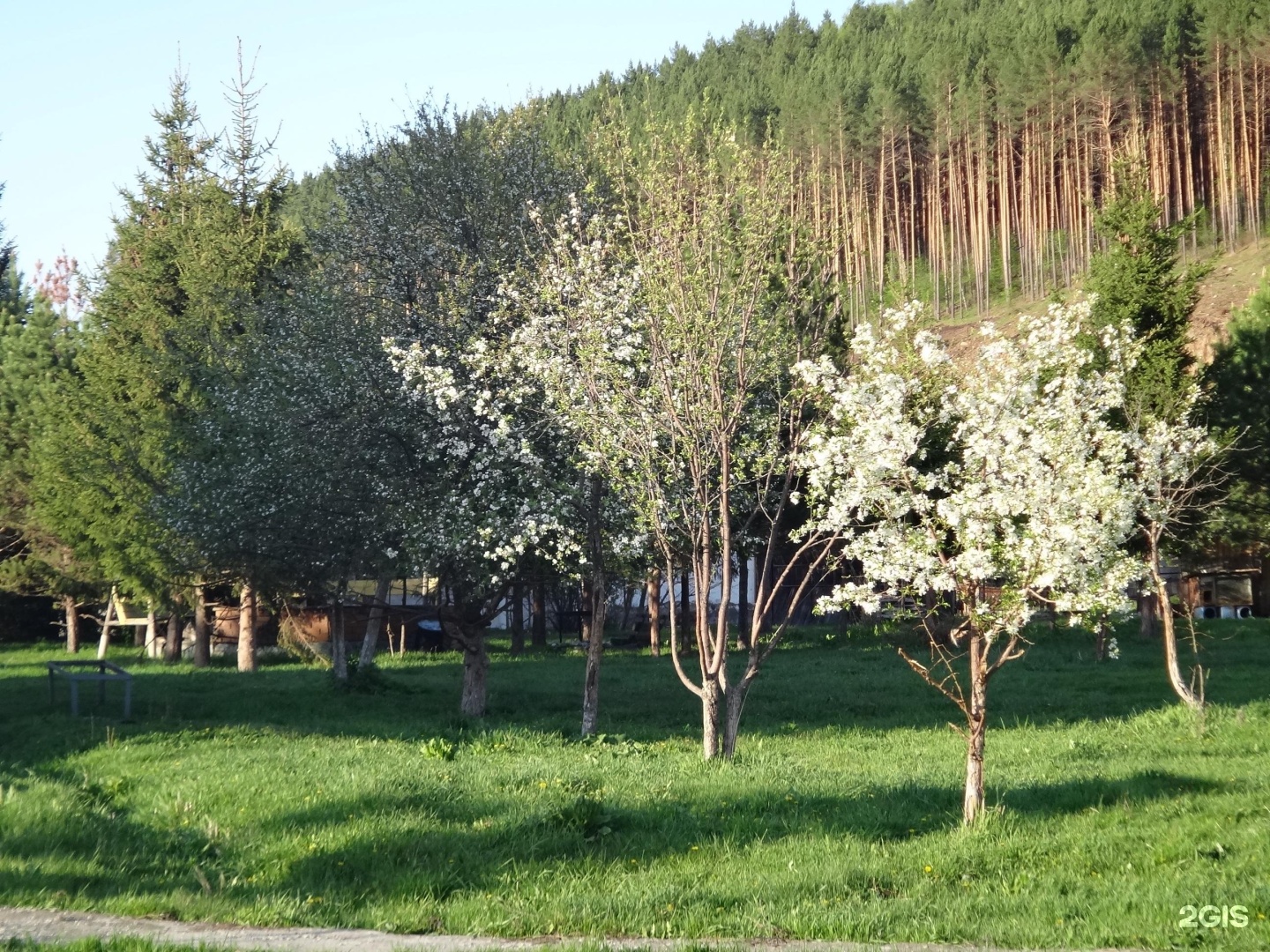 Усадьба Парма - фото 22