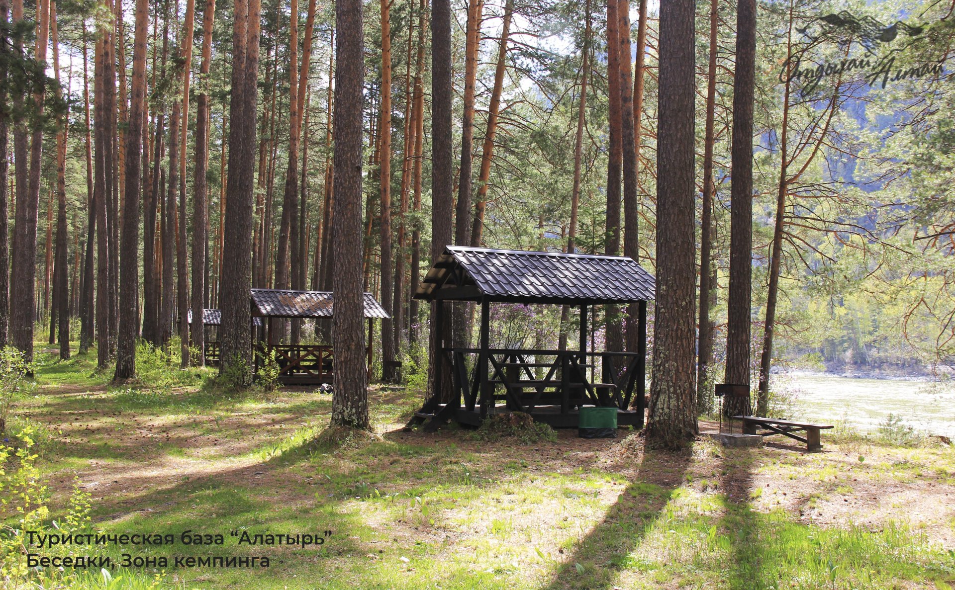 Алатырь - фото 39