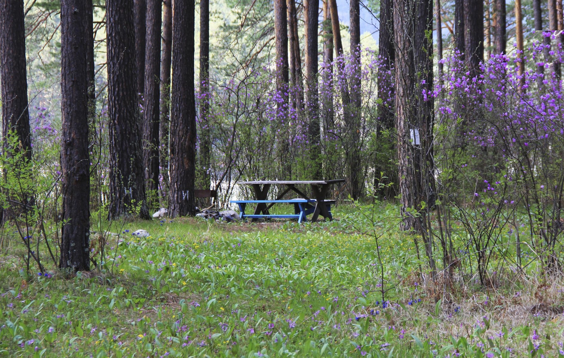 Алатырь - фото 73