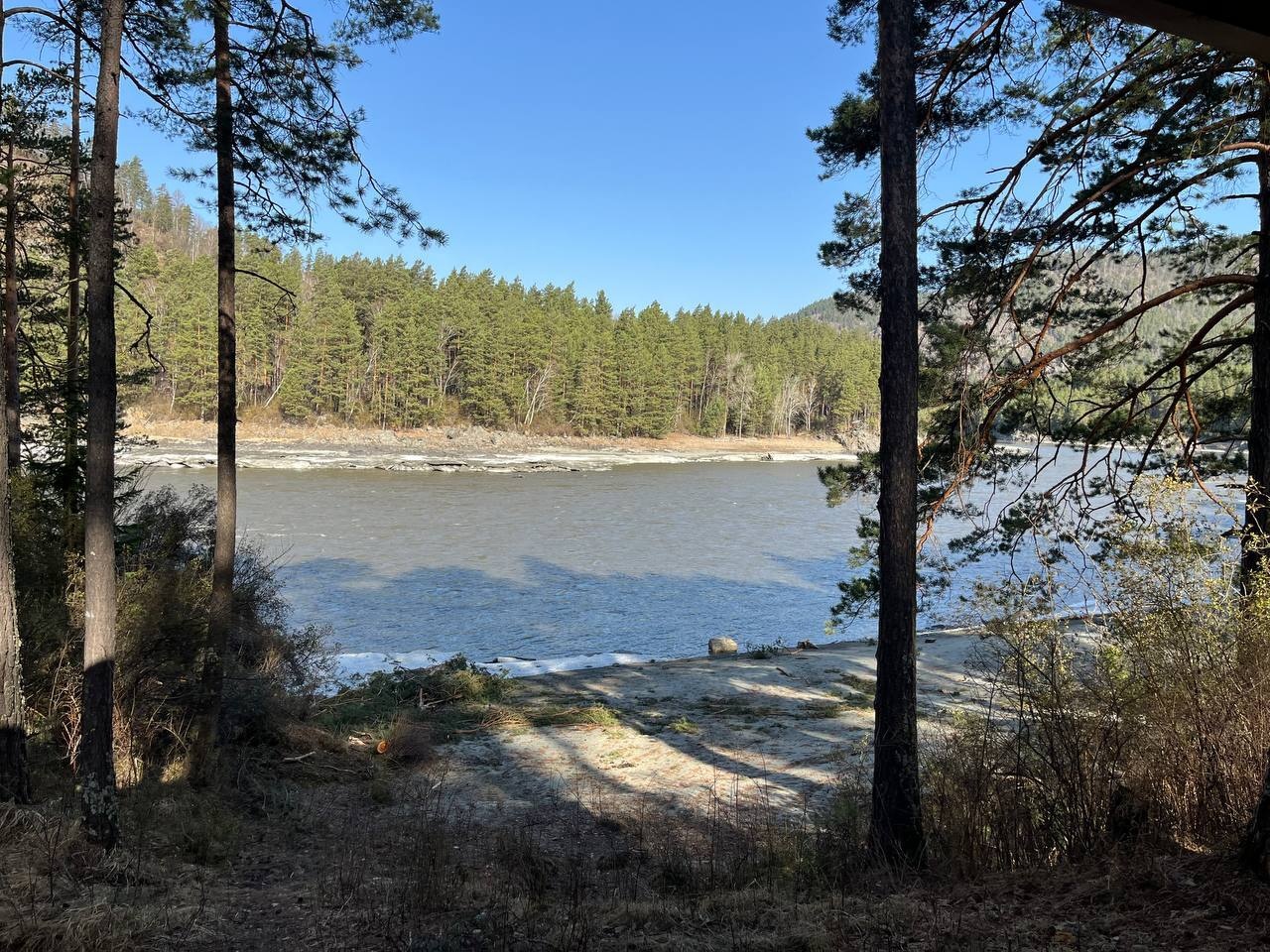 Дом на берегу Катуни: Кошкин дом - фото 9