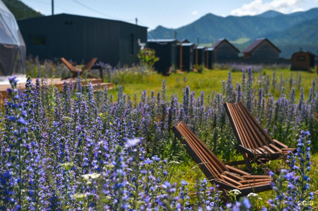 Altay Nebo - фото 3