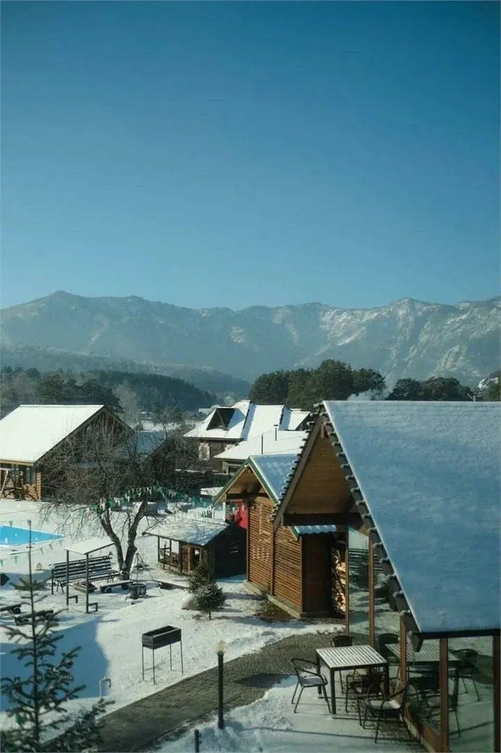 Чемалка - фото 21