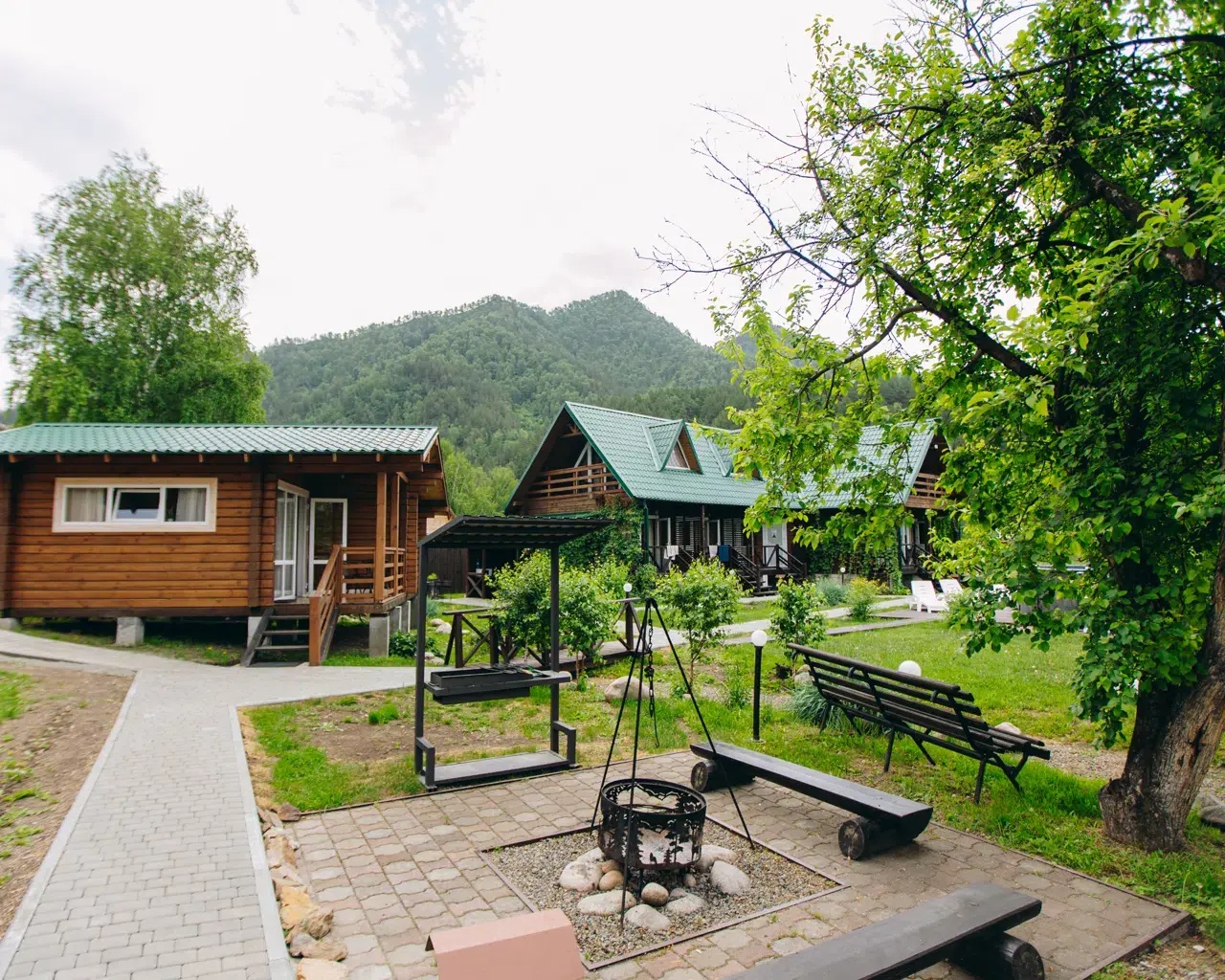 Чемалка - фото 31