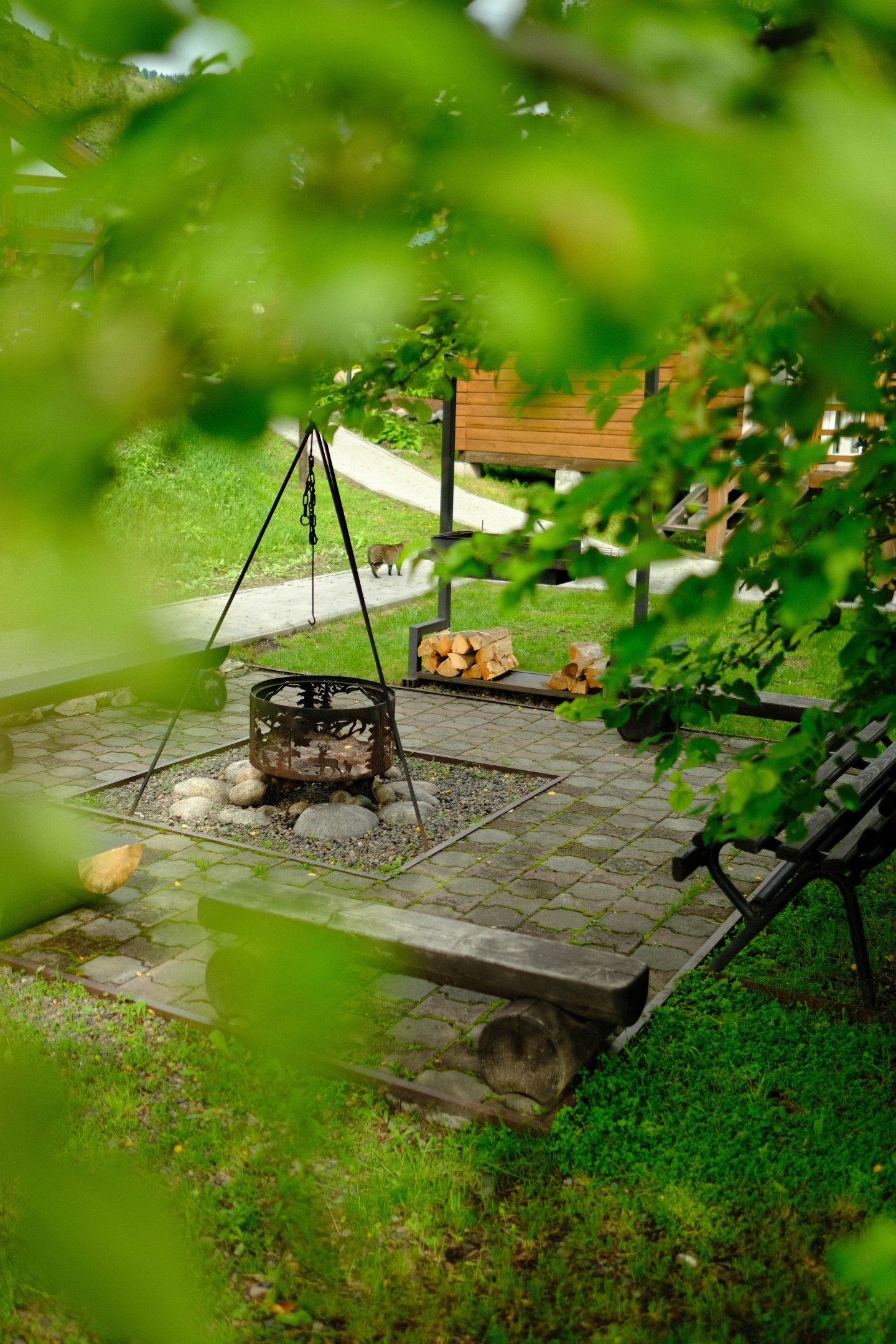 Чемалка - фото 78