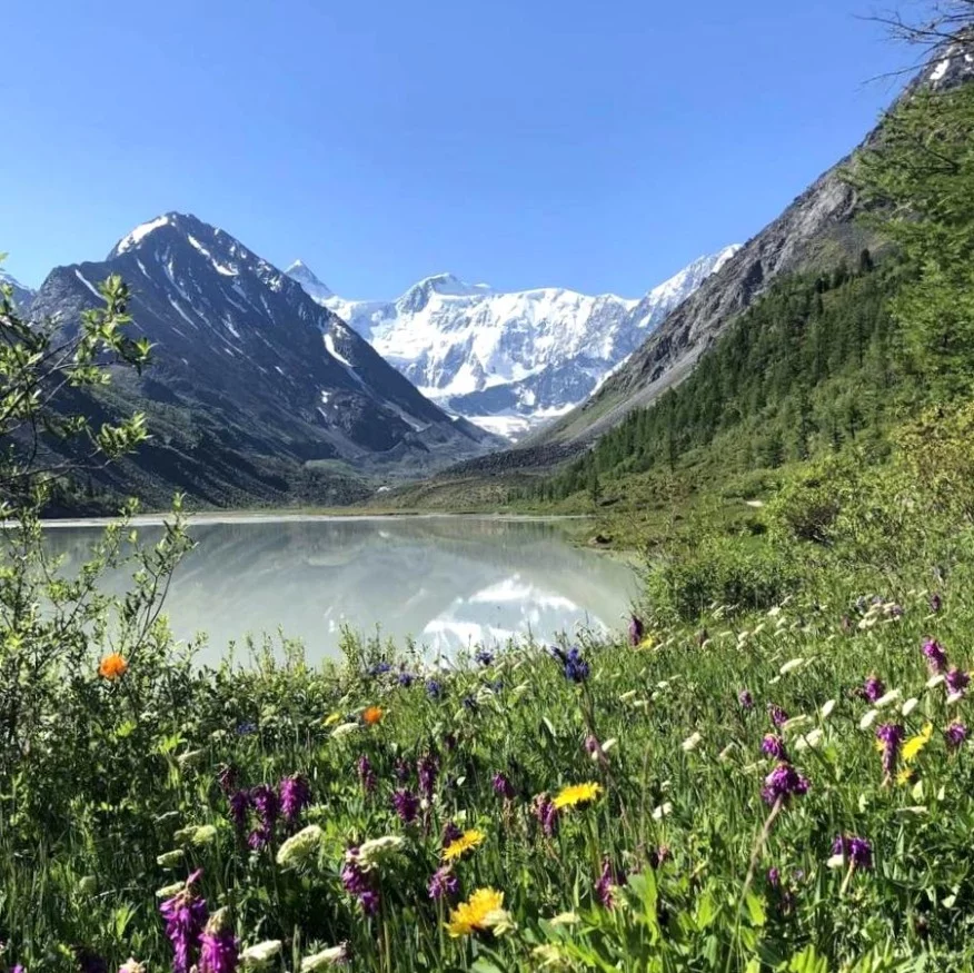 гора Белуха - фото 1