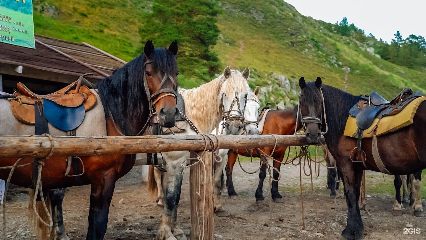Altay Nebo - фото 30