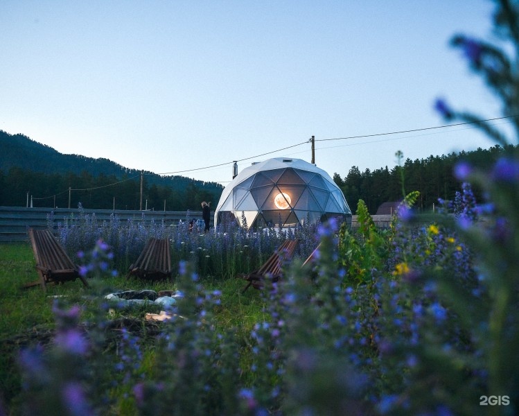 Купол - фото 2