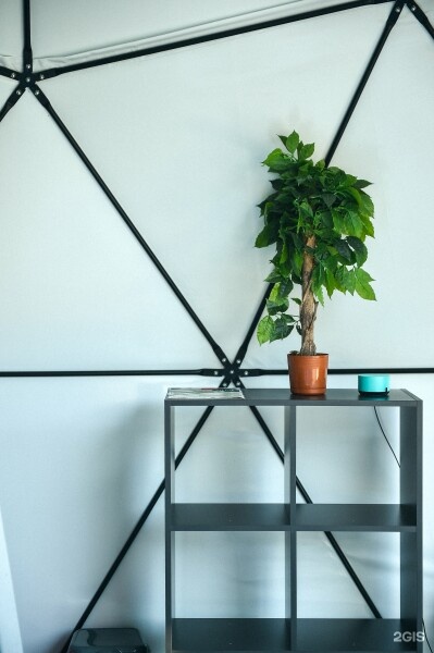 Купол - фото 13