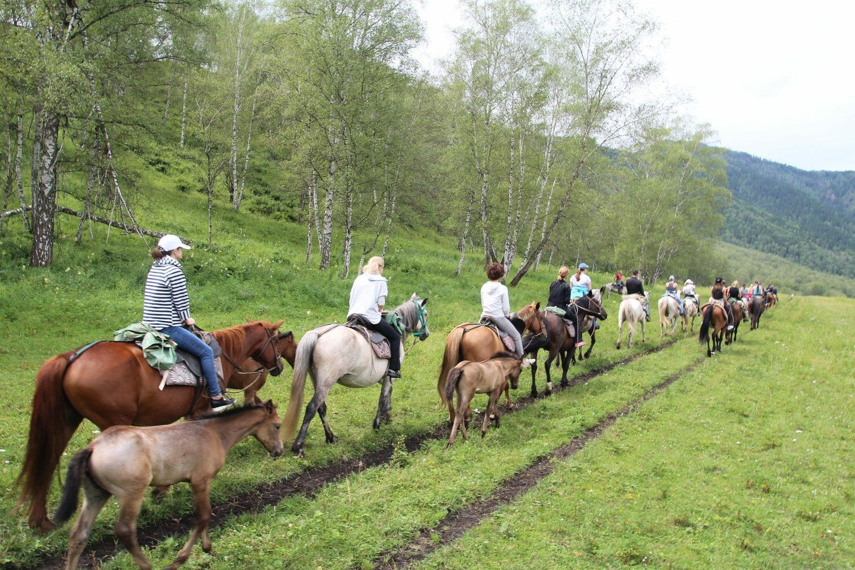 Castle - фото 27