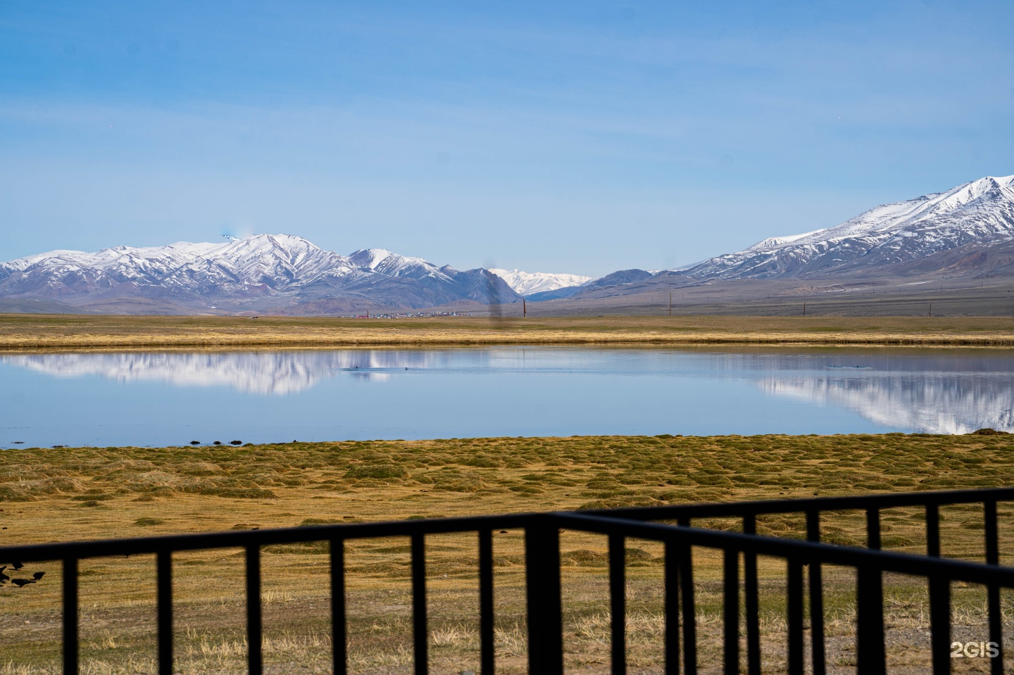 Архар - фото 14