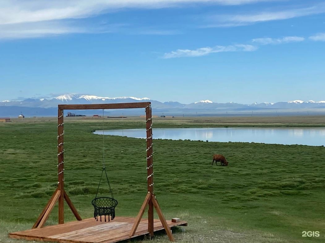 Архар - фото 16