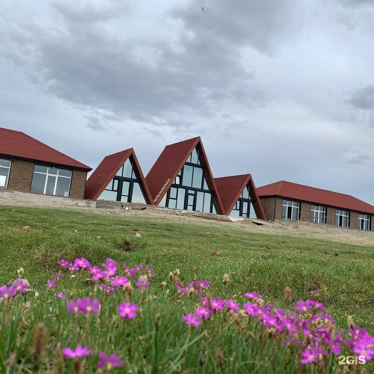 Архар - фото 26