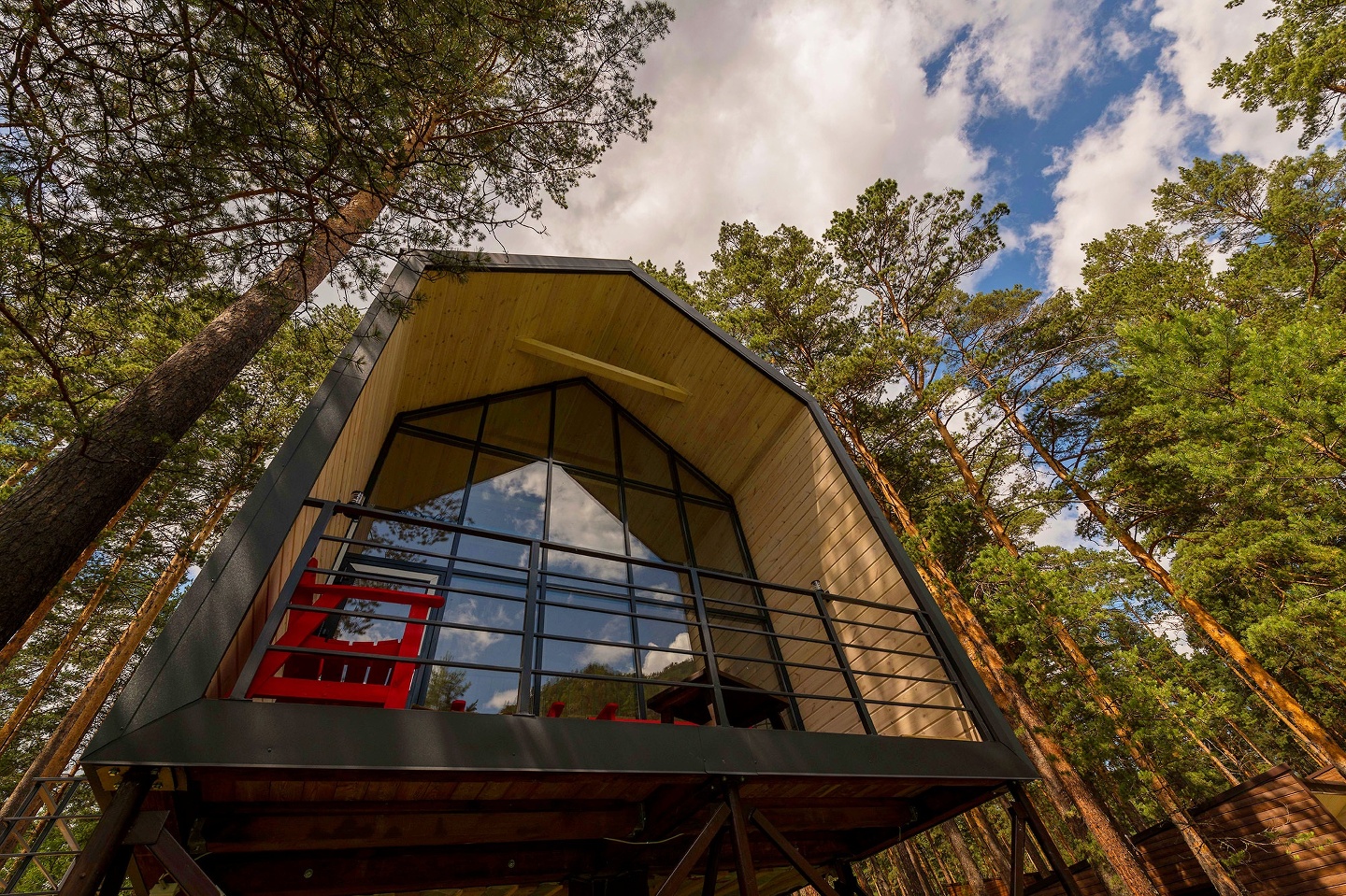 Царская охота - фото 16