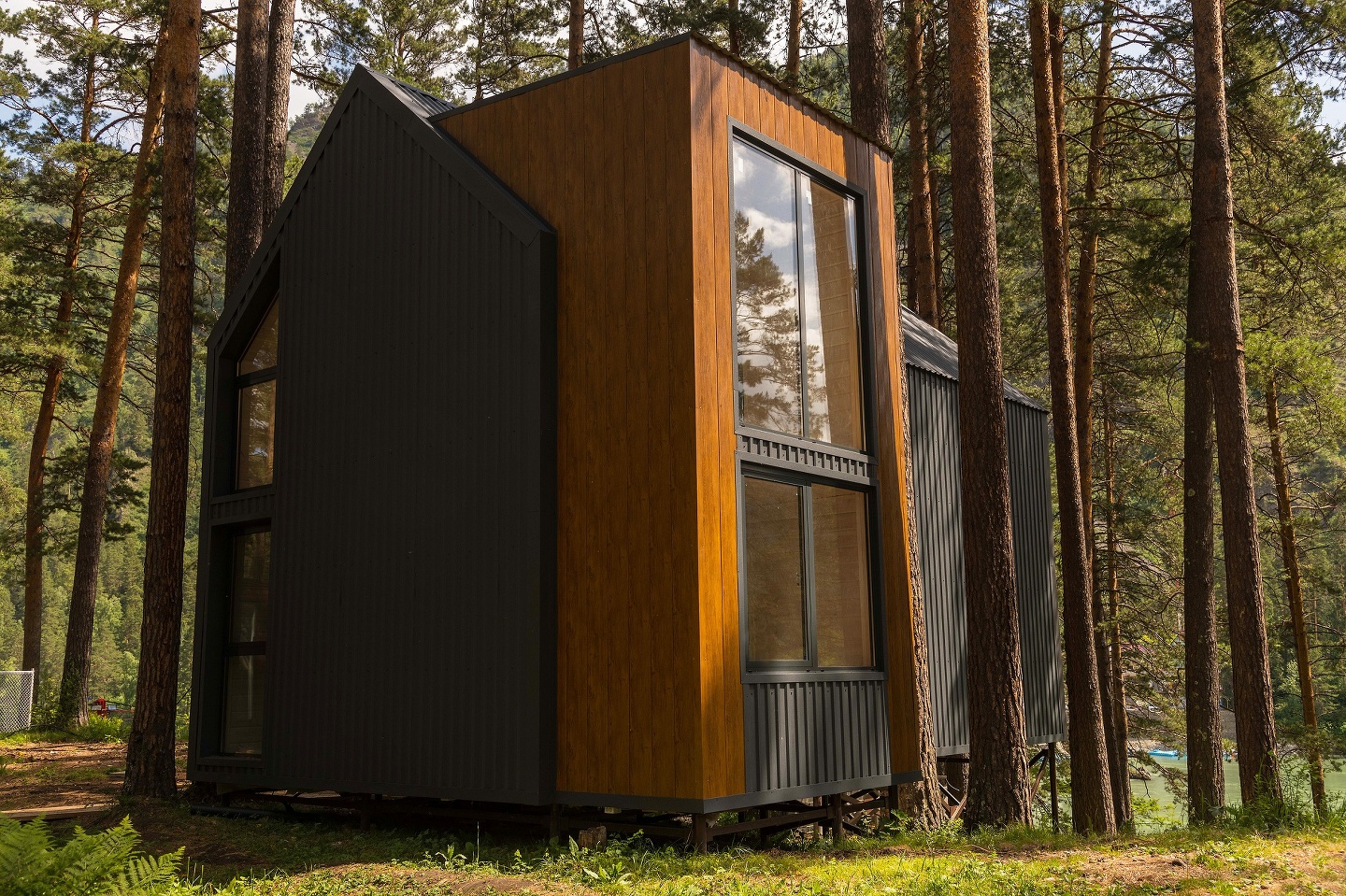 Царская охота - фото 18