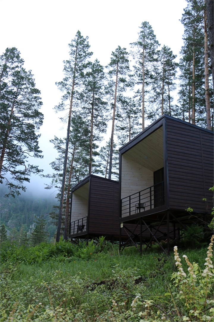 БУНГАЛО С ВИДОМ НА ЛЕС - фото 7