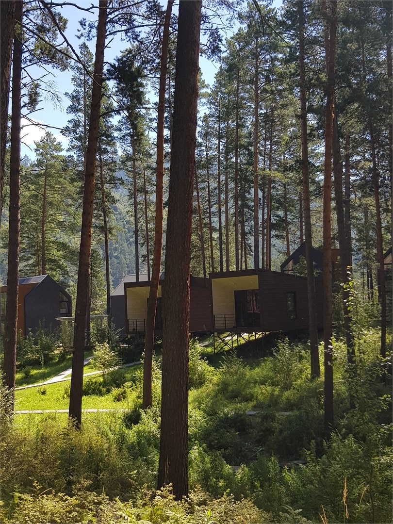 БУНГАЛО С ВИДОМ НА ЛЕС - фото 8