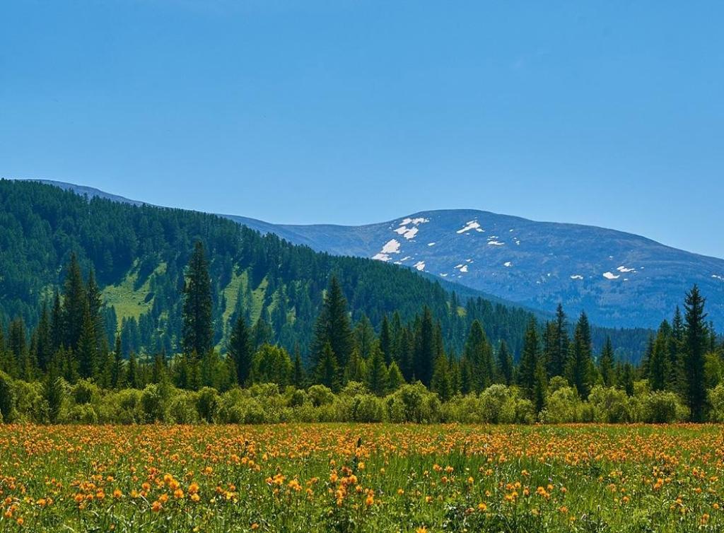 Чыгыш. Отдых на Алтае - фото 9