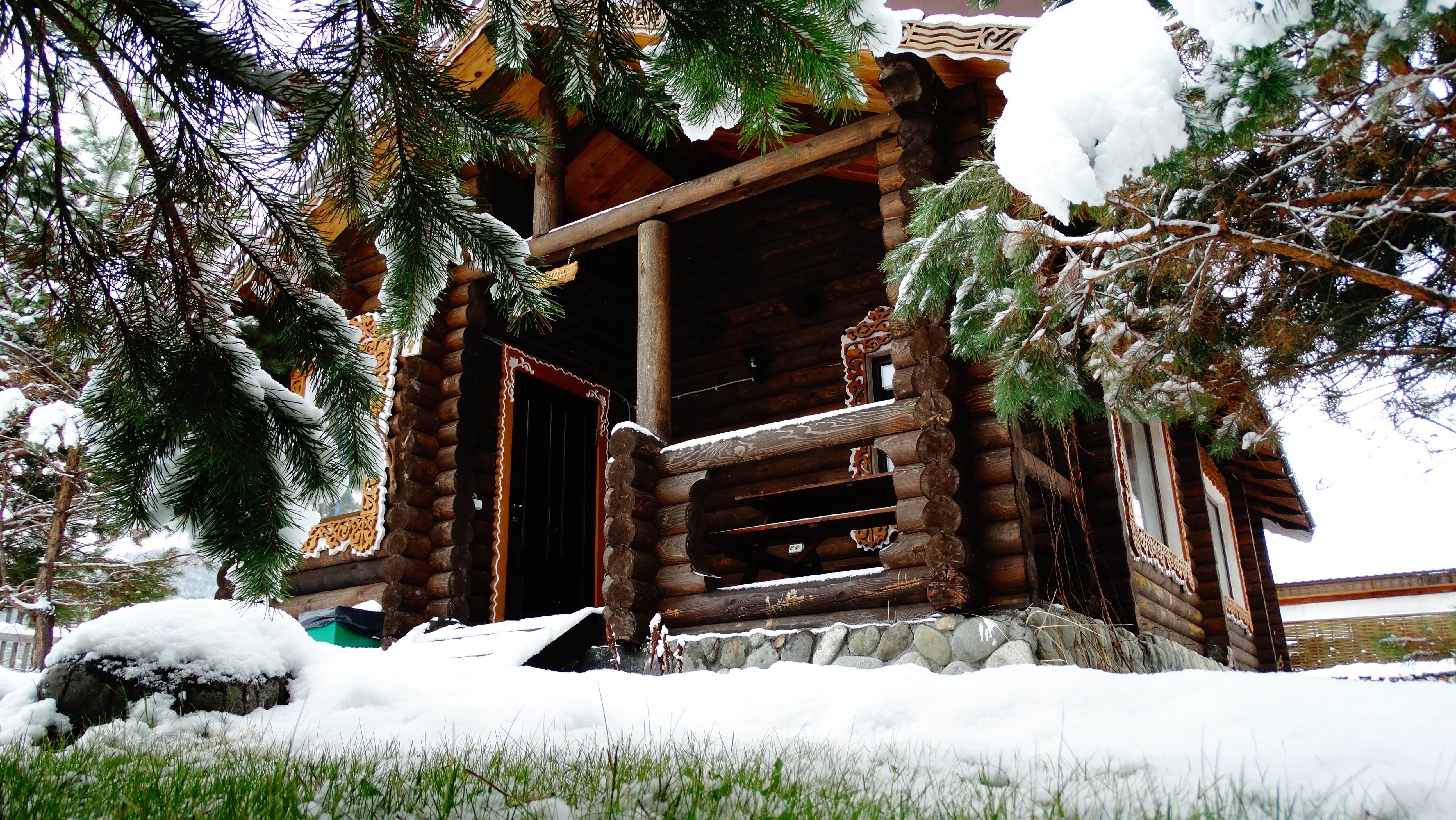 Чыгыш. Отдых на Алтае - фото 28