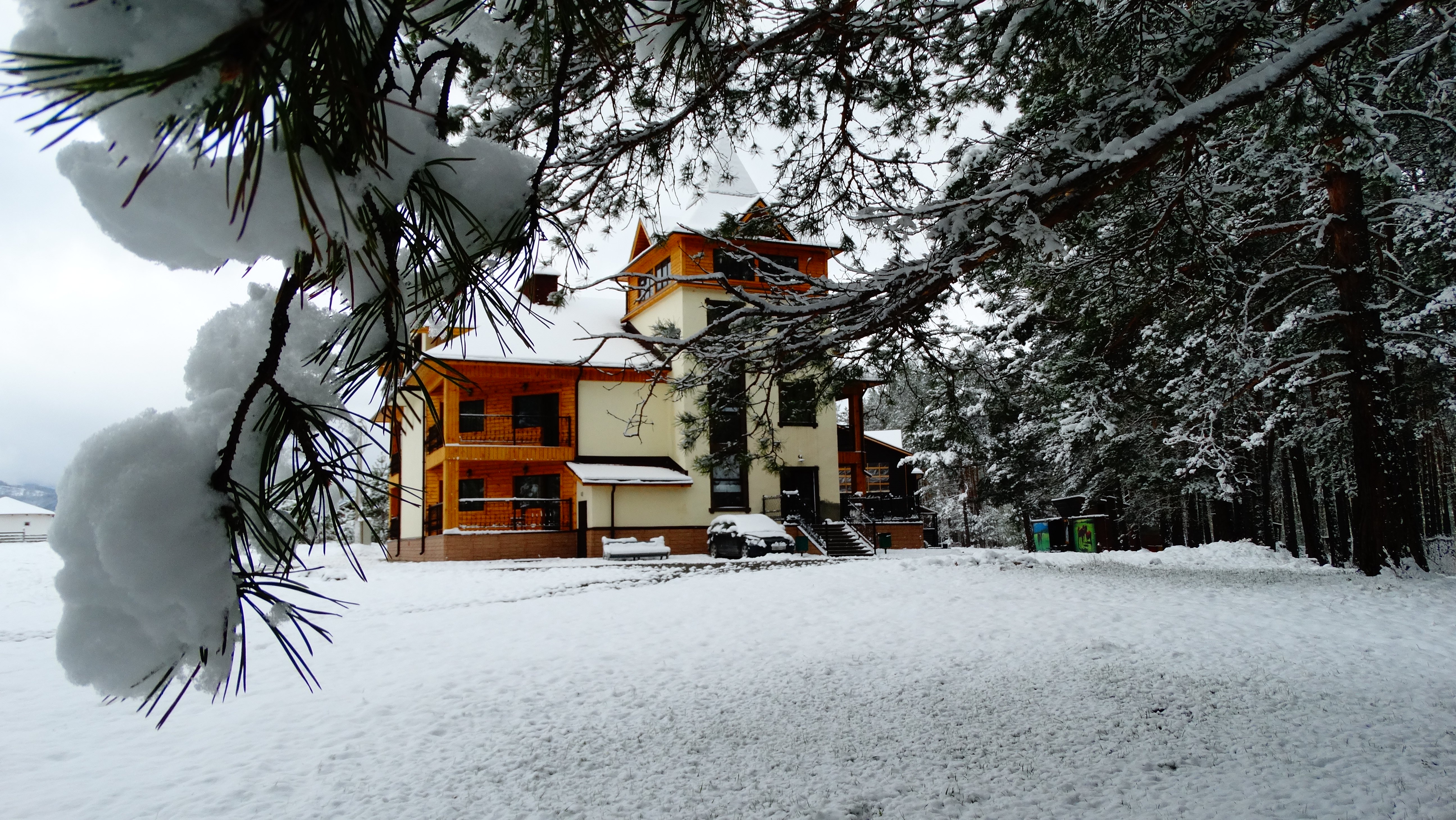 Чыгыш. Отдых на Алтае - фото 46