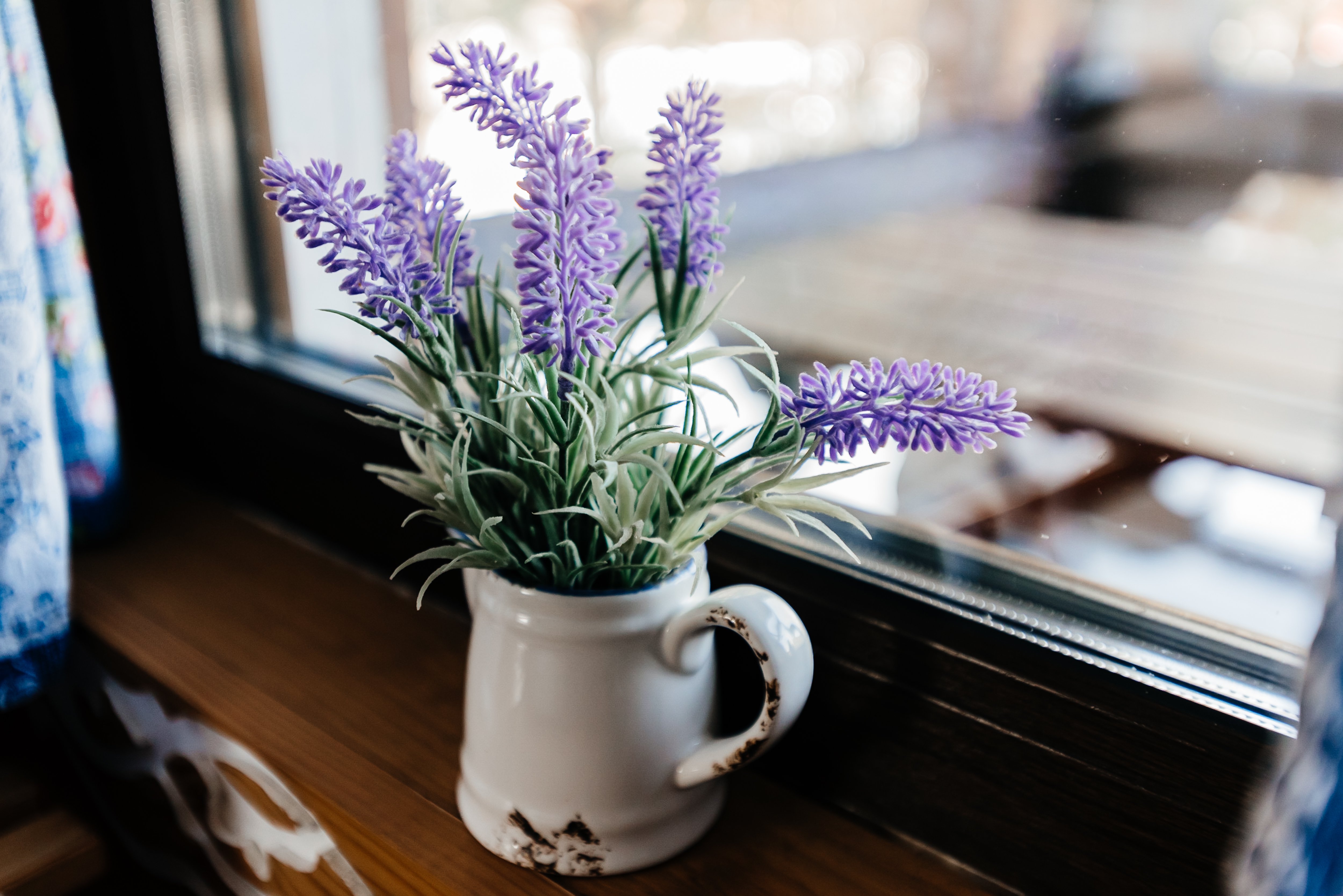 Чыгыш. Отдых на Алтае - фото 50