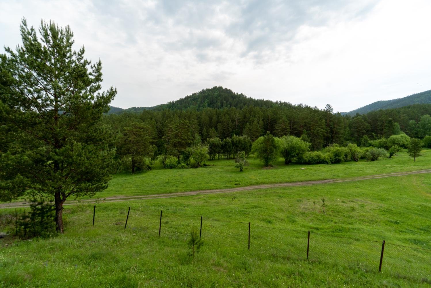 Чыгыш. Отдых на Алтае - фото 52