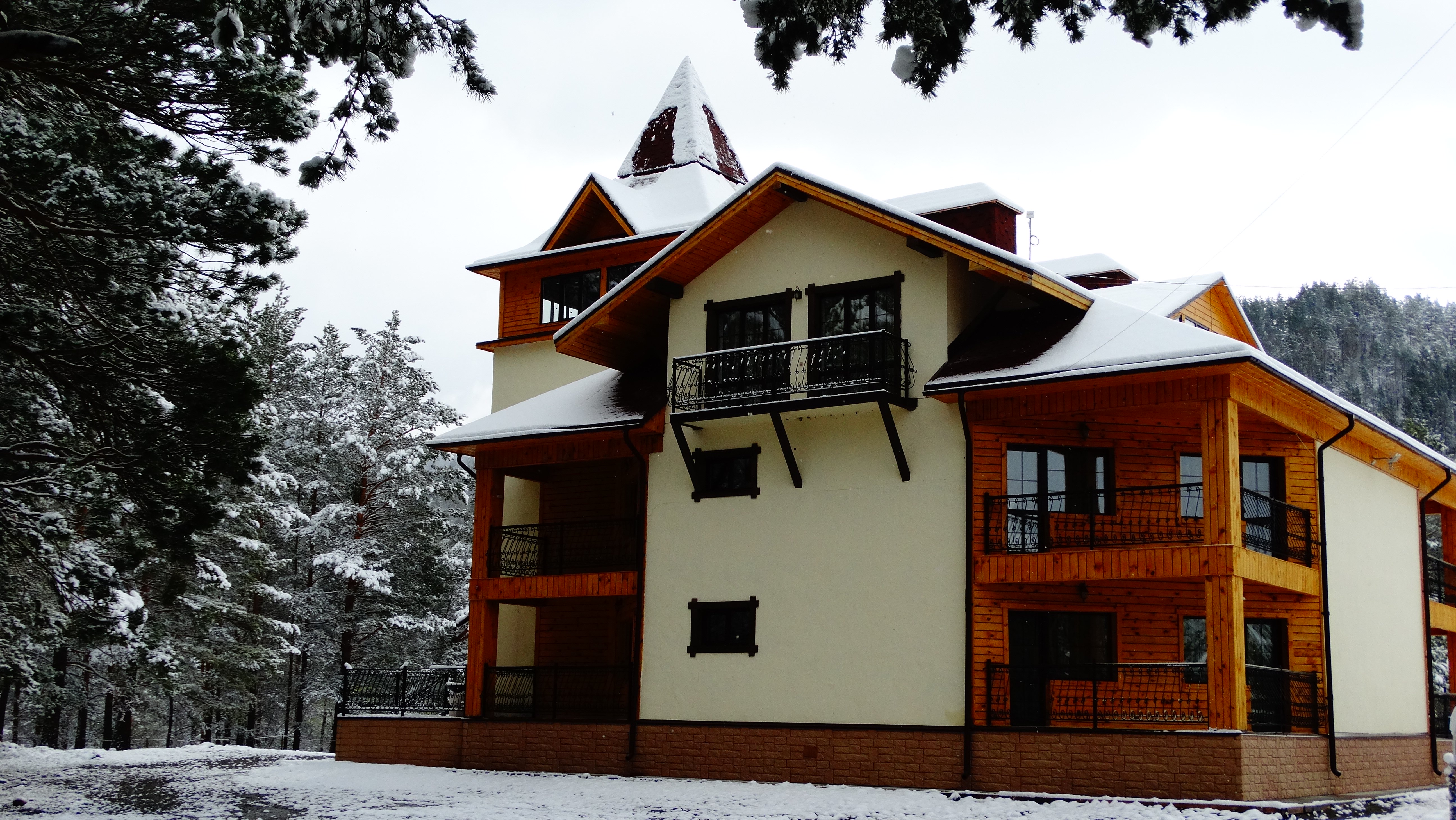 Чыгыш. Отдых на Алтае - фото 55