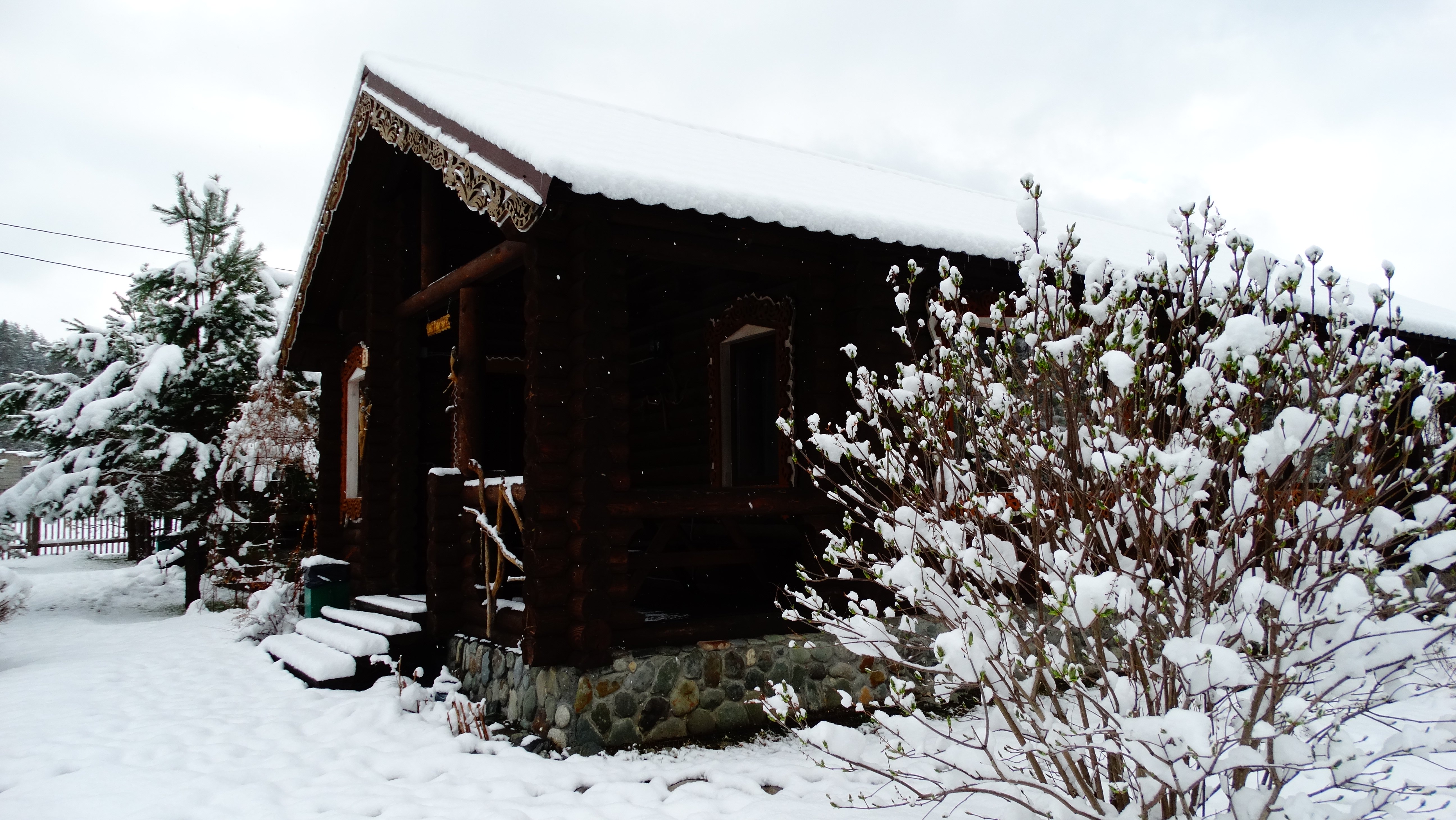 Чыгыш. Отдых на Алтае - фото 56