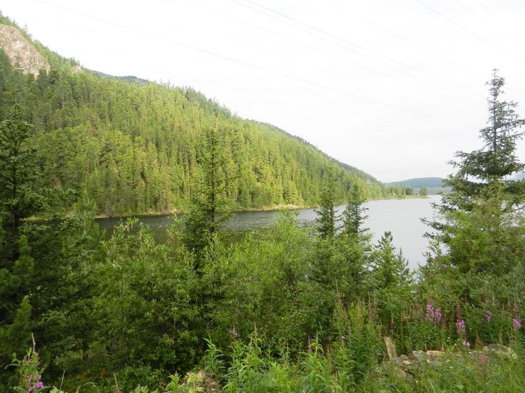 Чыгыш. Отдых на Алтае - фото 58