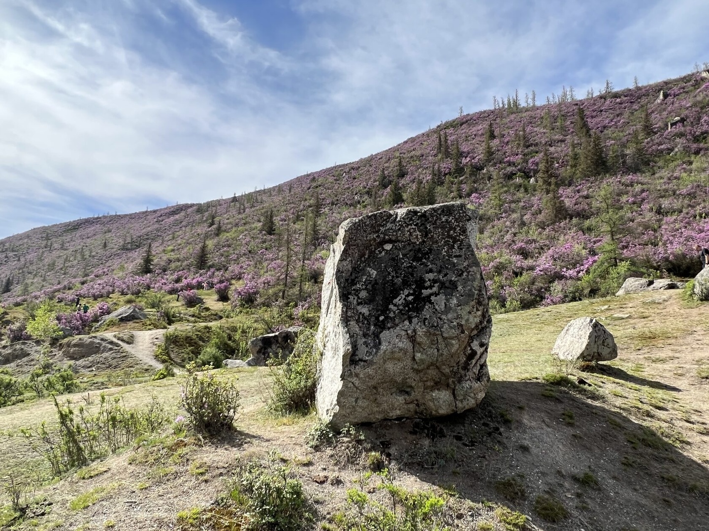 Чыгыш. Отдых на Алтае - фото 67