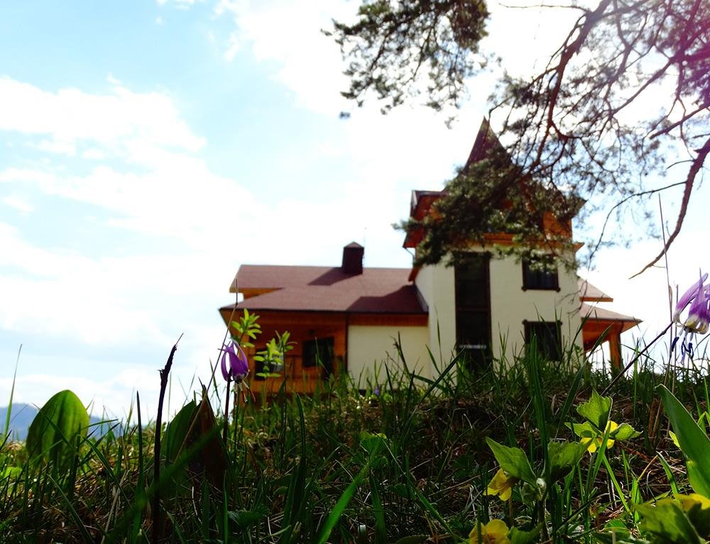 Чыгыш. Отдых на Алтае - фото 68