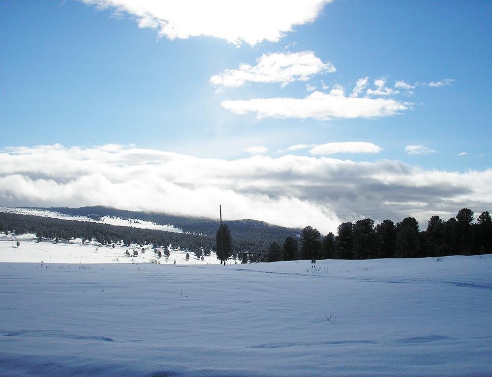 Чыгыш. Отдых на Алтае - фото 69