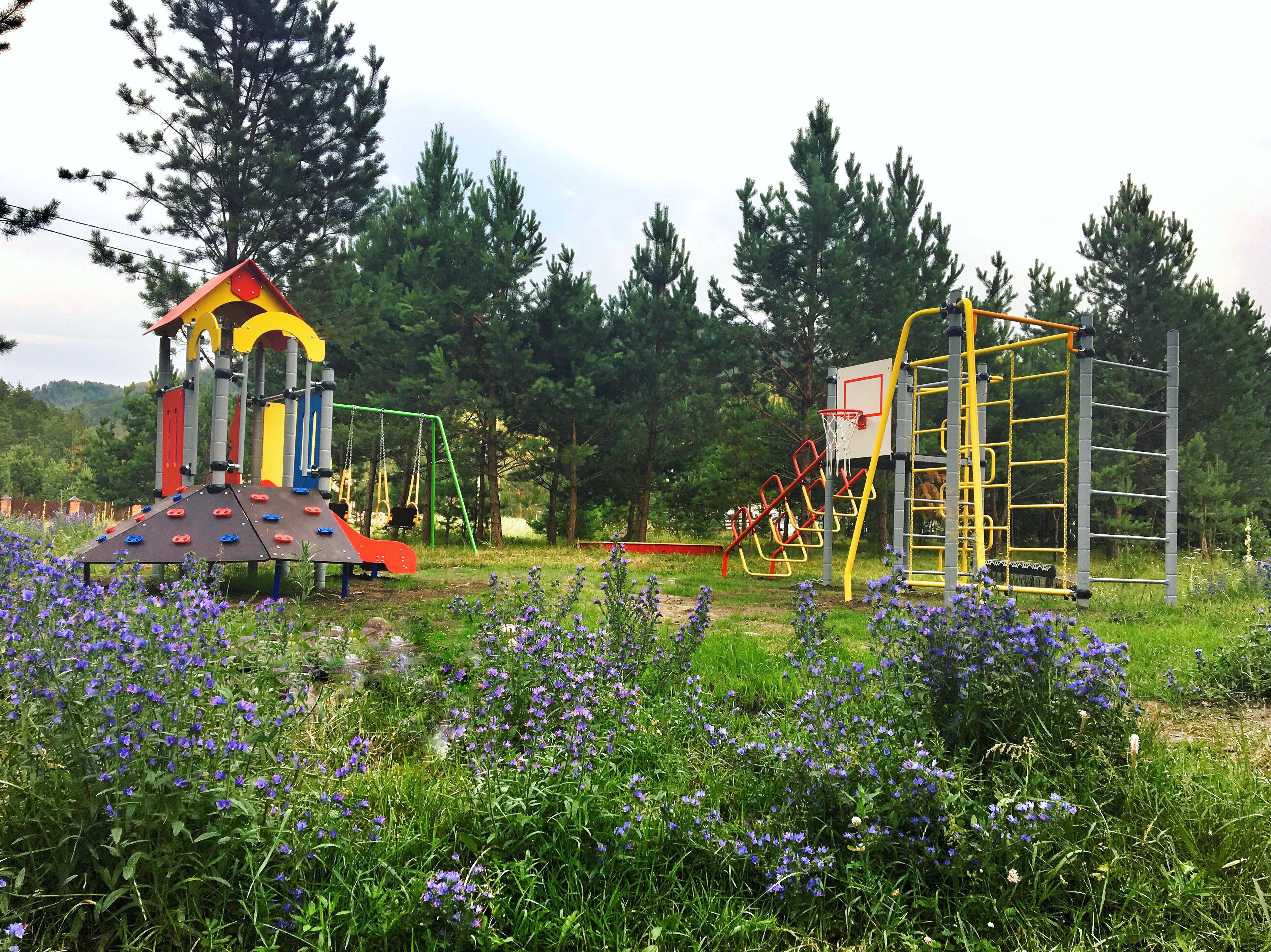 Чыгыш. Отдых на Алтае - фото 78