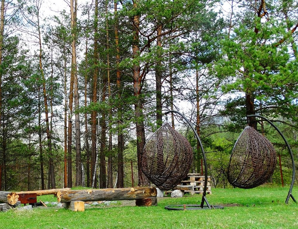 Чыгыш. Отдых на Алтае - фото 94