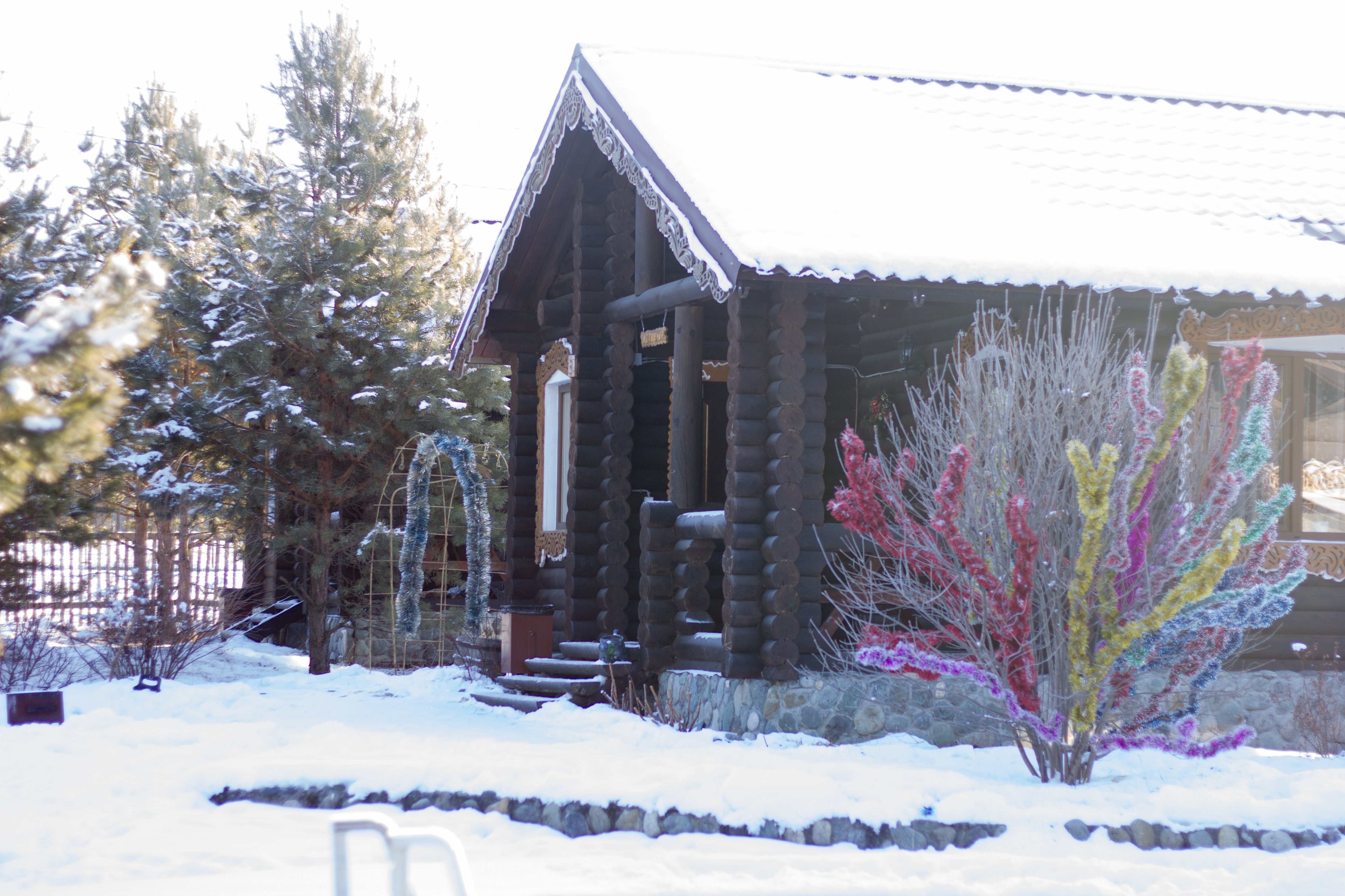 Чыгыш. Отдых на Алтае - фото 97