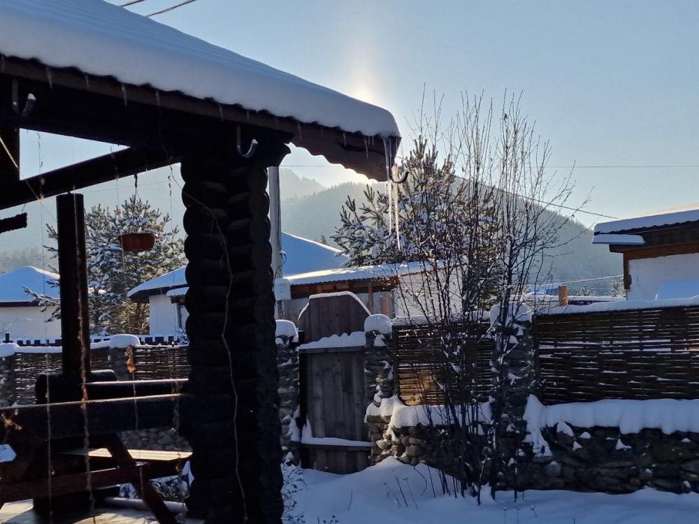 Чыгыш. Отдых на Алтае - фото 99