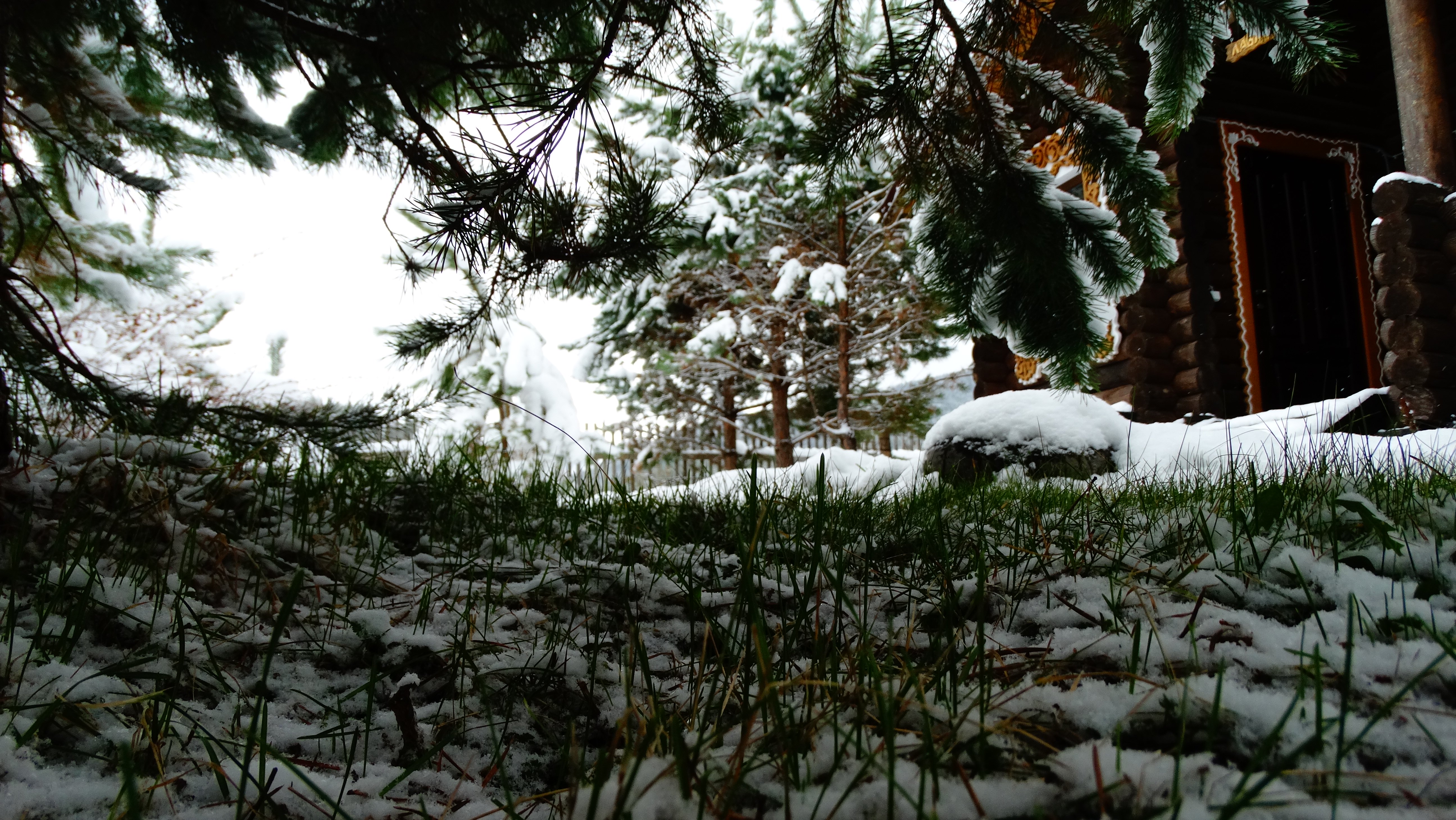 Чыгыш. Отдых на Алтае - фото 103