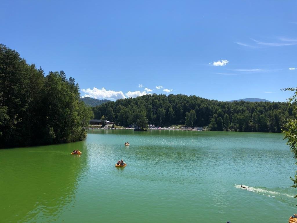 Берёзка - фото 21